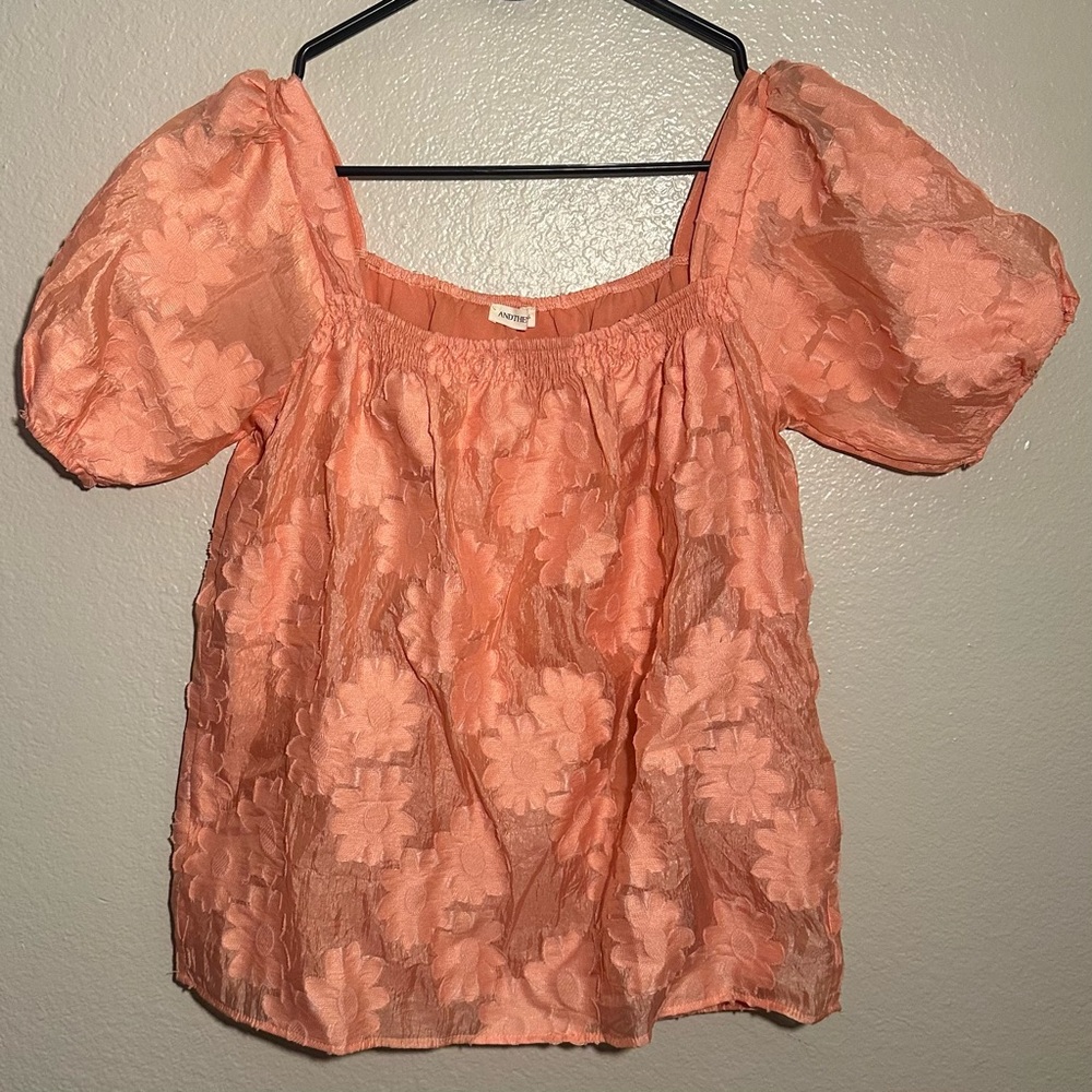 Andthewhy Coral Embroidered Floral Bubble Sleeve Blouse